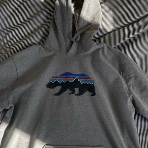 Patagonia Bear Hoodie